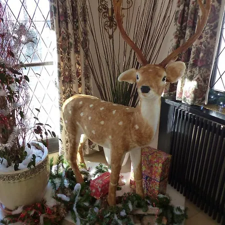 提洛尔-阿平霍夫酒店 蒂罗尔-泽费尔德