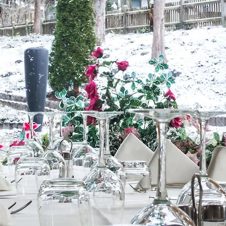 提洛尔-阿平霍夫酒店 酒店 蒂罗尔-泽费尔德